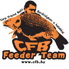 CFB Hot Mango dip 200ml